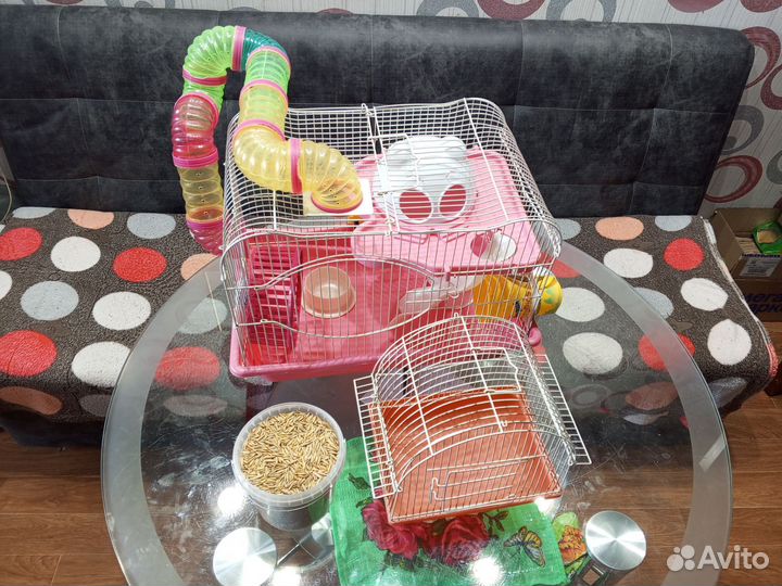Клетка для хомяка бу