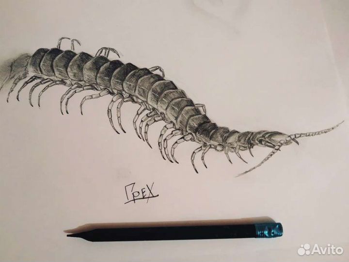 Портреты карандашом. Эскизы