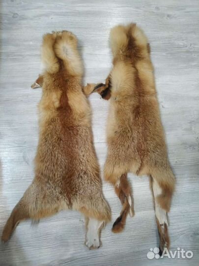 Шкура лисы