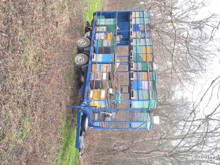 Пчелоприцеп тэспа