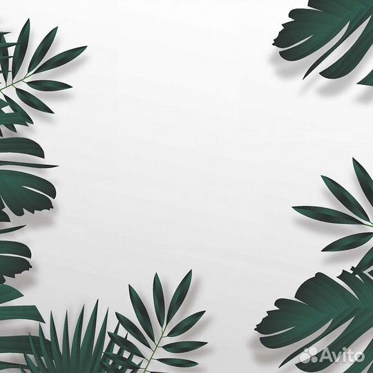 Дизайнерские фотообои 