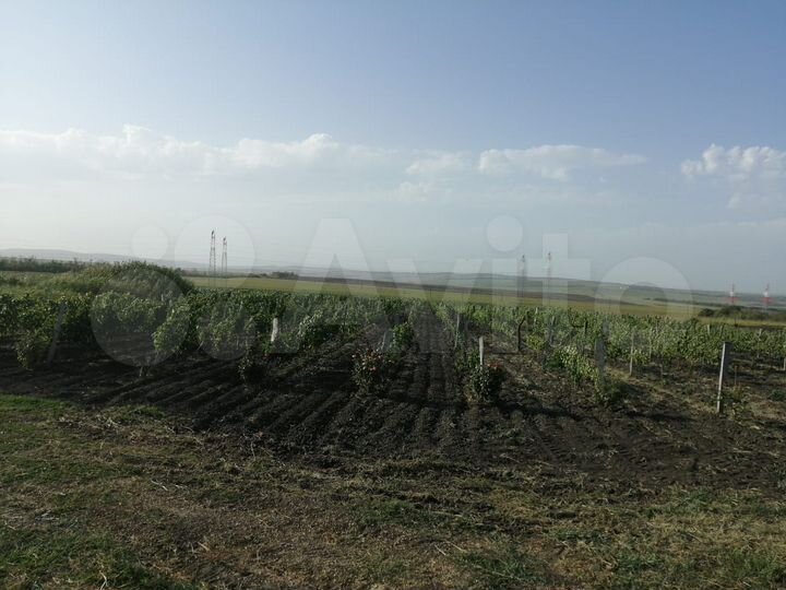 Участок 4 га (СНТ, ДНП)