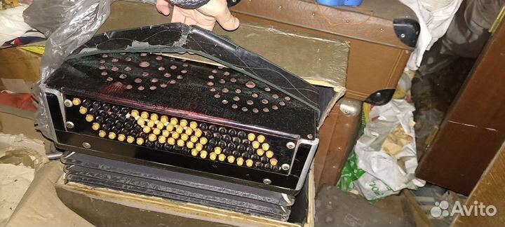 Баян/гармонь северная мелодия Вологда