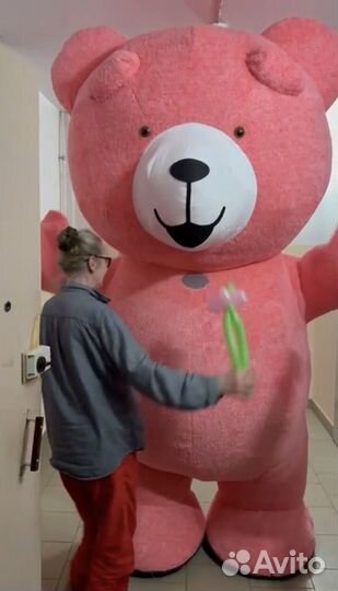 Поздравление от Мишки