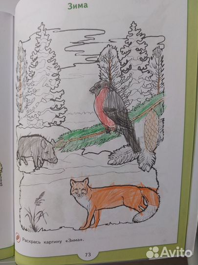 Зелёная тропинка, учебник для 5-7 лет