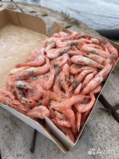 Креветка северная 150+