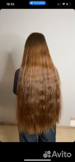 Скупка волос дорого