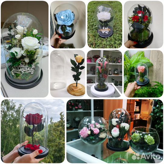 Роза в колбе. Цветы букеты. Подарки. Арт269, от