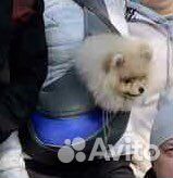Рюкзак-переноска для собак мелких пород