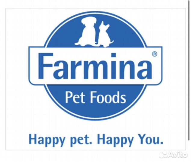 Кинологический клуб. Оформление документов