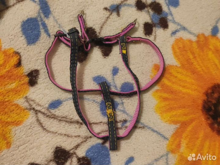 Набор шлейка, поводок, ошейник