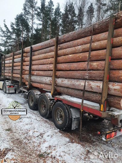 Лес кругляк для Строительства