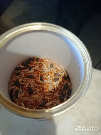 Корм для попугаев