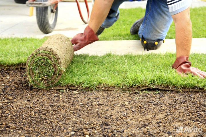 Укладка рулонного газона под ключ, производитель