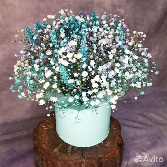 Гипсофилы с открыткой