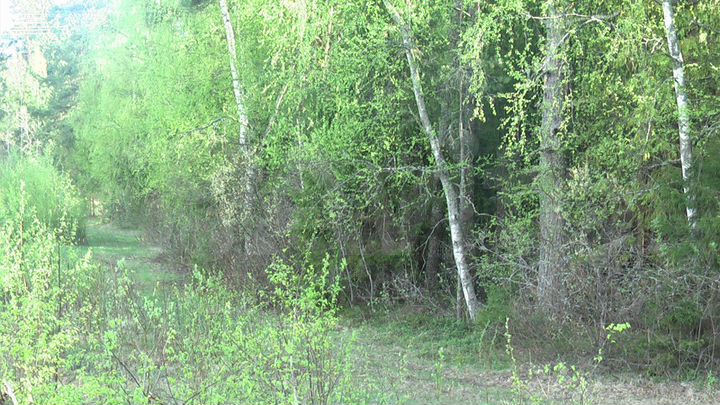 Участок 6,7 га (СНТ, ДНП)