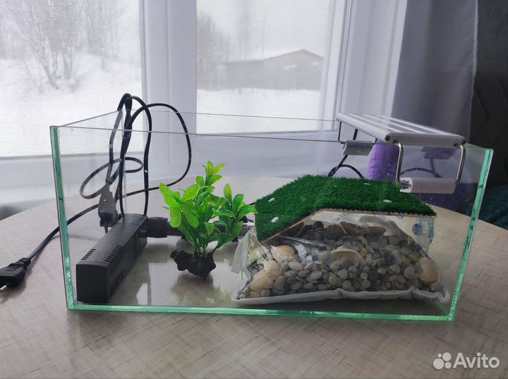 Террариум для красноухой черепахи