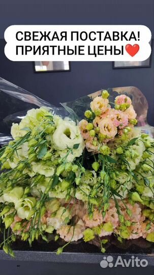 Большой букет из свежей эустомы