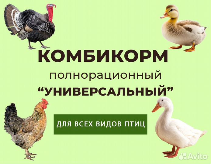 Комбикорм для всех видов птиц полнорационный