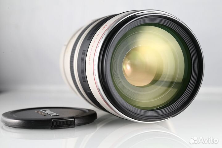 Canon EF 100-400mm f/4.5-5.6L IS USM