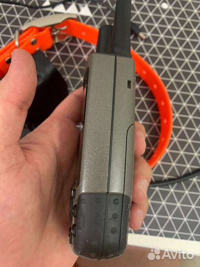 Навигатор Garmin Astro 220 с ошейником DC40 (EU)