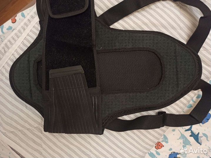 Мотоциклетная защита спины (черепаха)