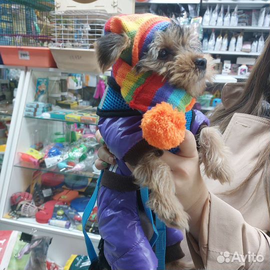 Одежда для собак и кошек