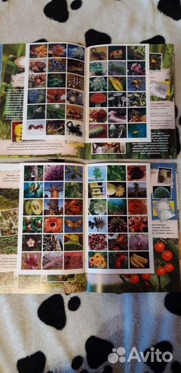 Атлас для детей с наклейками