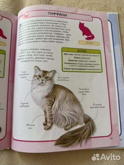 Энциклопедии для детей