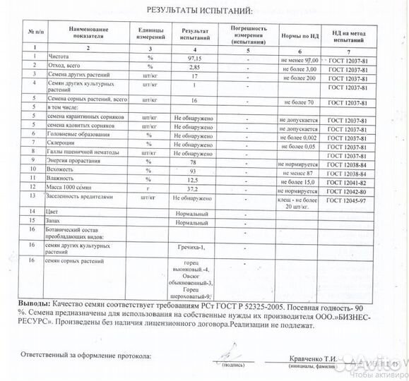 Пшеница яровая био, урожай 2022