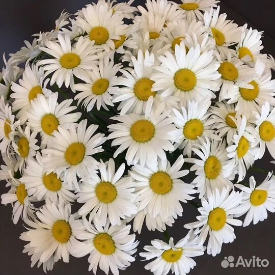 Менеджер wildberries