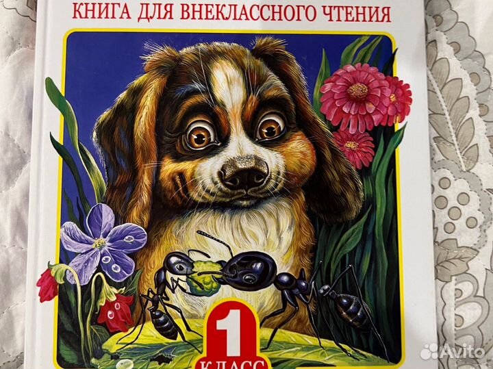 Родничок 1 класс