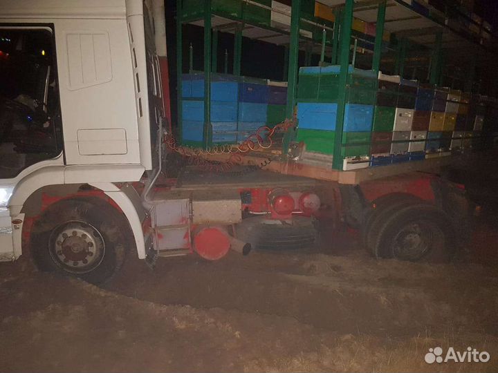 Мед липовый