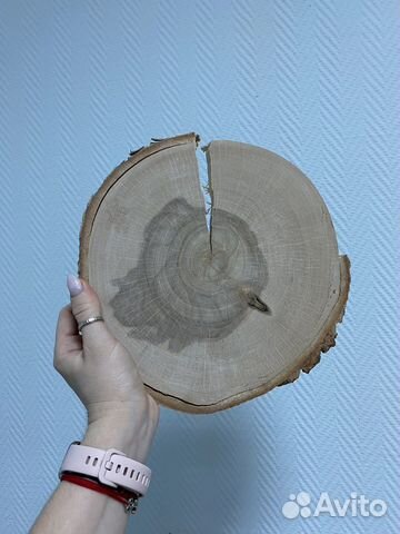 Спил березы для творчества