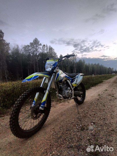 Эндуро Мотоцикл Avantis fx 250 basic