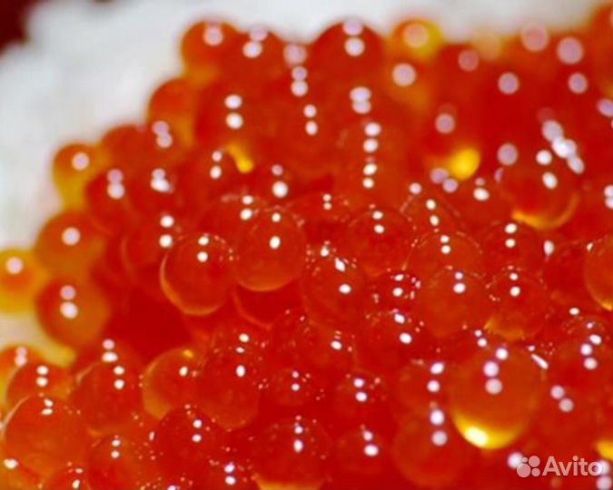Икра нерки 2022 стекло. Вкус настоящей красной икры. Хавиар икра красная. Икра кеты. Икра красная на природе красиво.