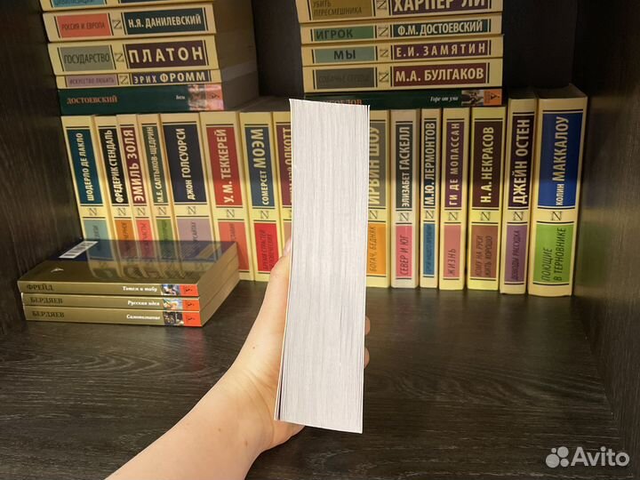 «Анна Каренина» Л.Н. Толстой