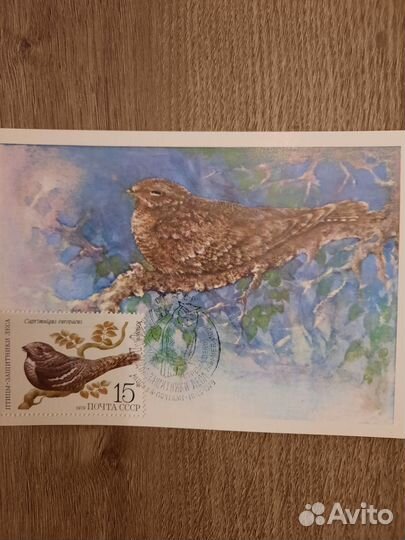 Картмаксимумы коллекция 5шт 