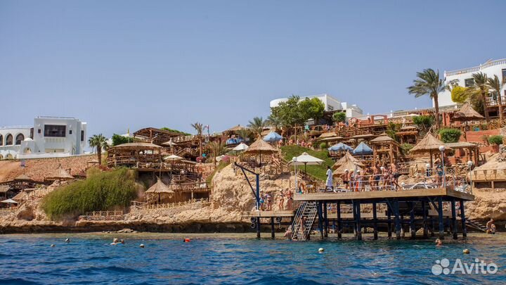 Египет в ноябре