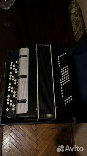 Баян вологодский