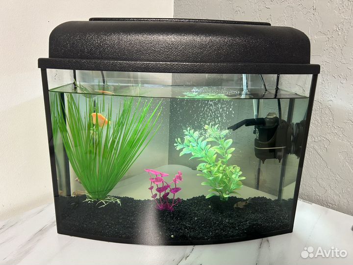 Аквариум с рыбками