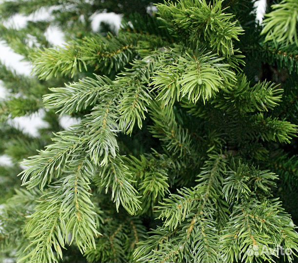 Ель искуственная