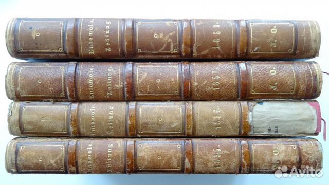 Энтомологическая газета 1855, 1856, 1857, 1858 гг