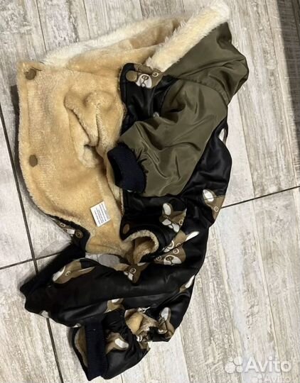 Одежда для маленьких пород собак (мальчик)