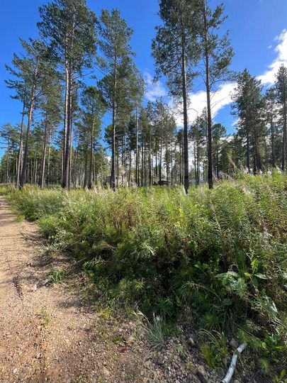 Дом 120 м² на участке 10 сот.