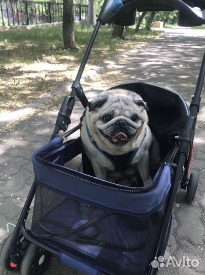 Коляска для собак