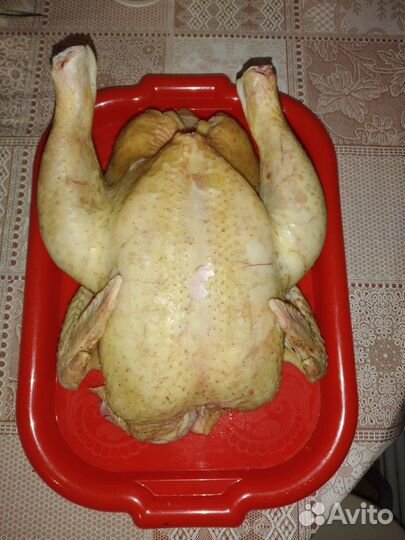 Козье молоко и продукция из молока