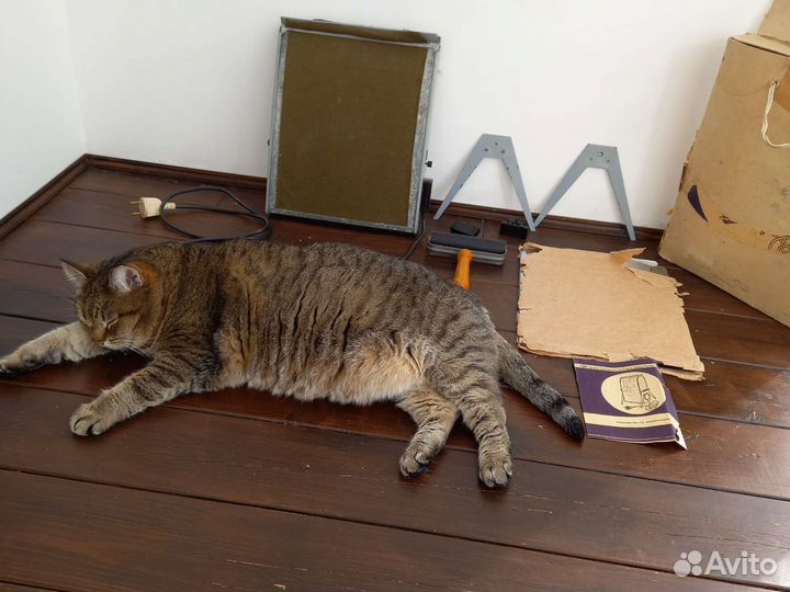 Электрофотоглянцеватель эфг-2