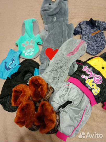 Одежда,обувь для маленьких собак