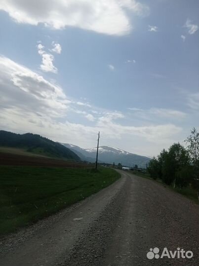 Тур выходного дня. Горный Чарыш